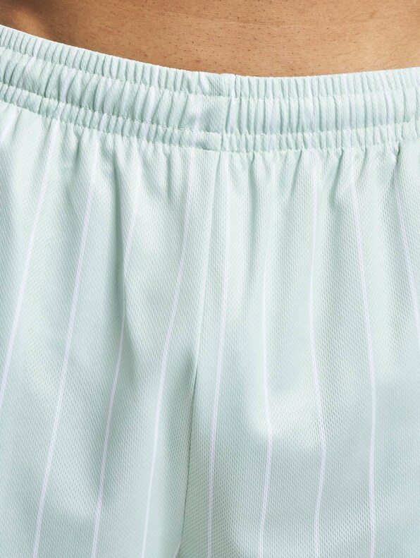 Retro Pinstripes Mesh -5