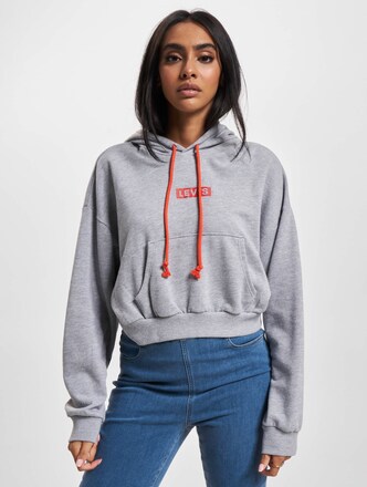 Levis Graphic Laundry Hoodie