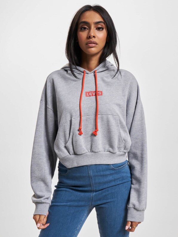 Levis Graphic Laundry Hoodie-0