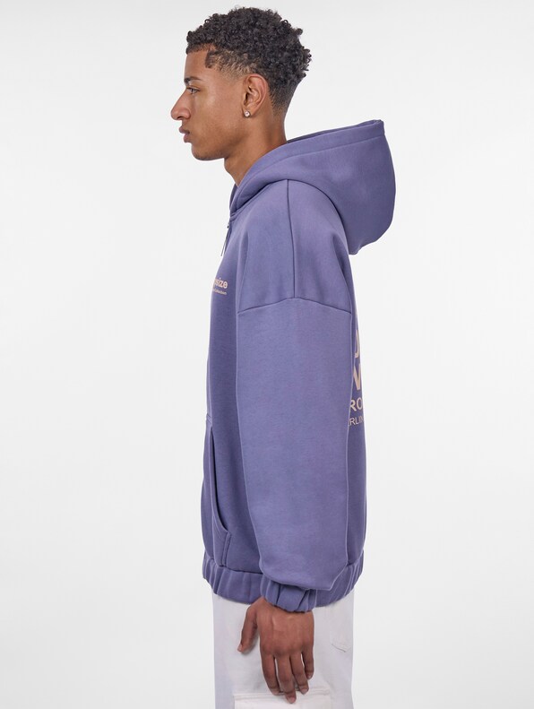 Dropsize Heavy Oversize Limited Zip Hoodies-2