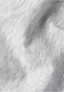 white_208423