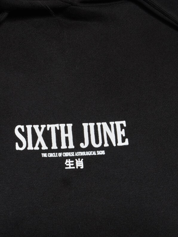  Chinese Zodiac Signs-4