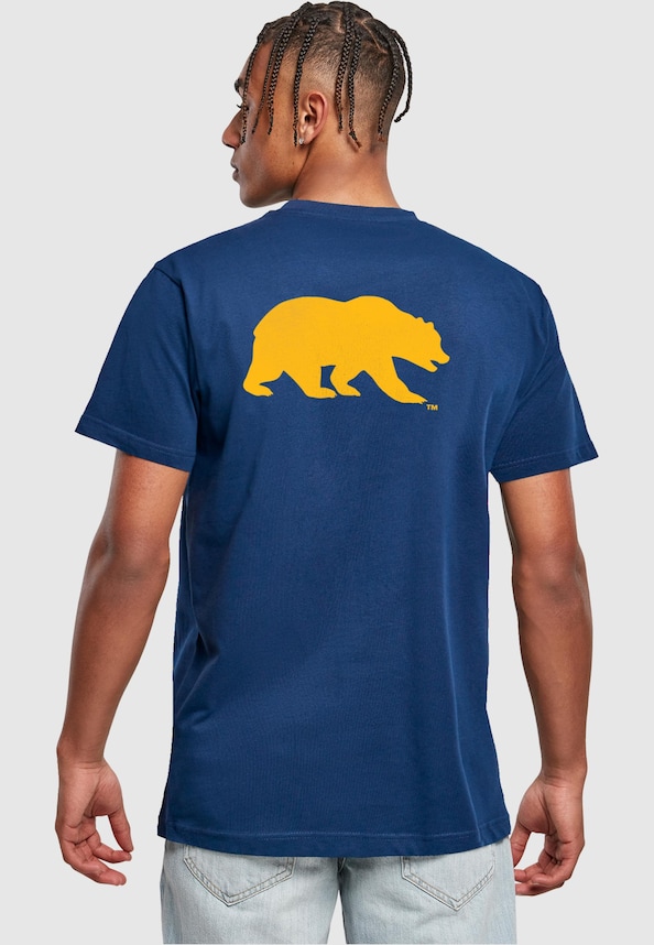 CAL Bear-1