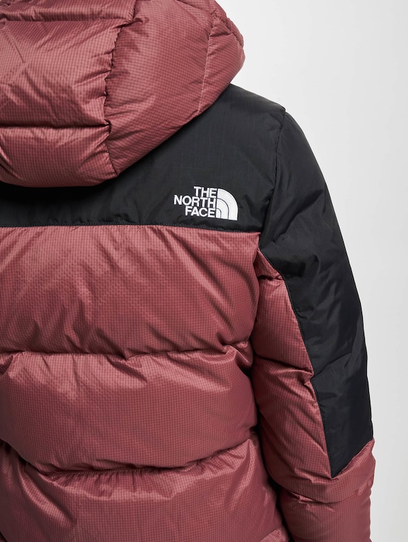 The North Face Diablo Puffer Jacket Wild-5