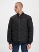 Tommy Jeans Collegiate Quilted-2
