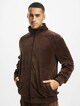 Classic Logo Essential Velours-2