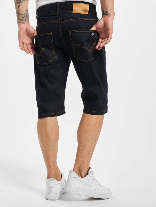 Dickies Michigan-1