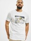 white_18308