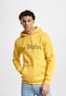 yellow_17451
