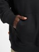 Core Logo P/O Hood Bb-4