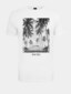 white_17160