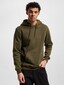 olive_16301