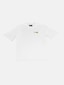 white_149919