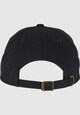 Zoo York Skating Dad Cap-1