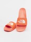 orange_95919