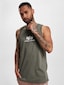 olive_73185