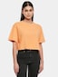 orange_9722