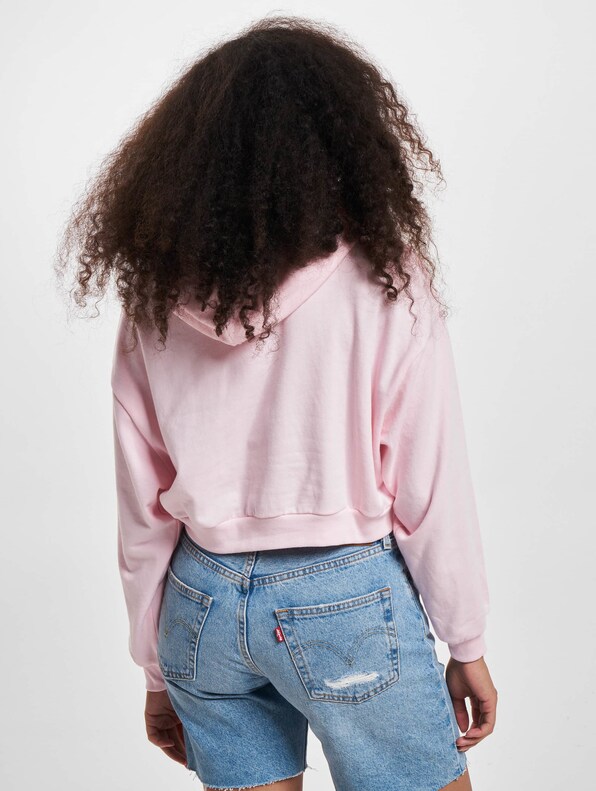 Levis Graphic Laundry Hoodie-1