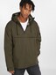 olive_58042