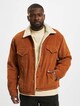 Levis Sherpa Trucker Winterjacke-0