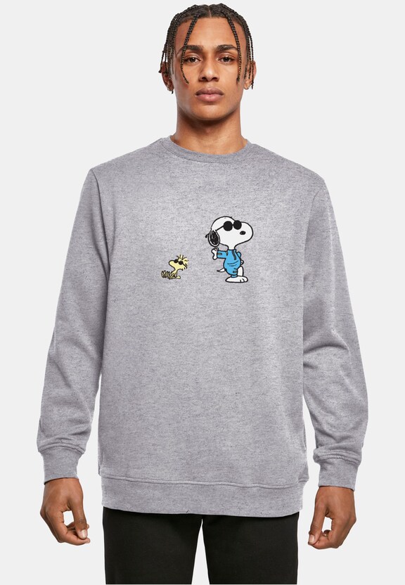 Peanuts Sunglasses V2 Basic-0
