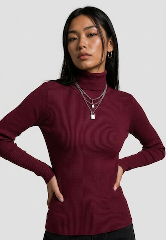 Rib 