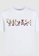 Looney Tunes Wile E Coyote Colour Code with Kids Basic -2