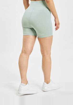 Basic Legging