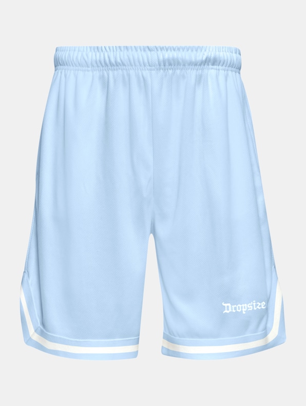 Logo Mesh-3