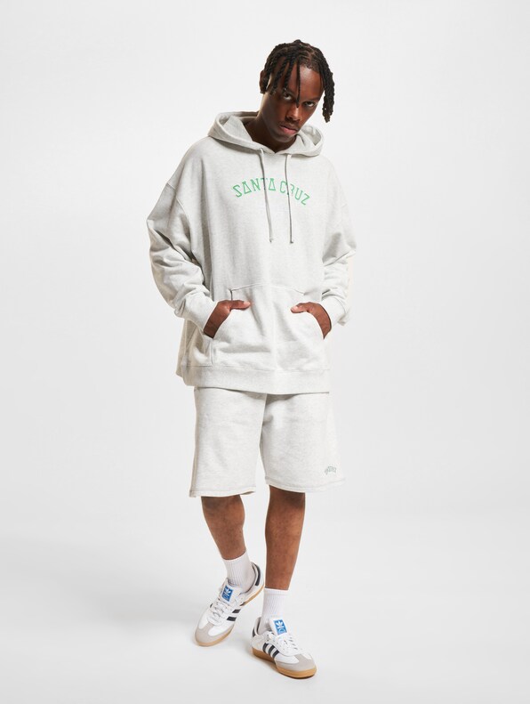 Santa Cruz Collegiate Strip Hoodie-4