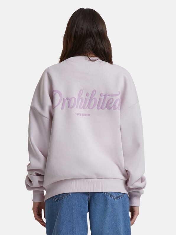 Prohibited 10119 V2 Crew Neck Pullover-6