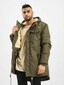 olive_37580