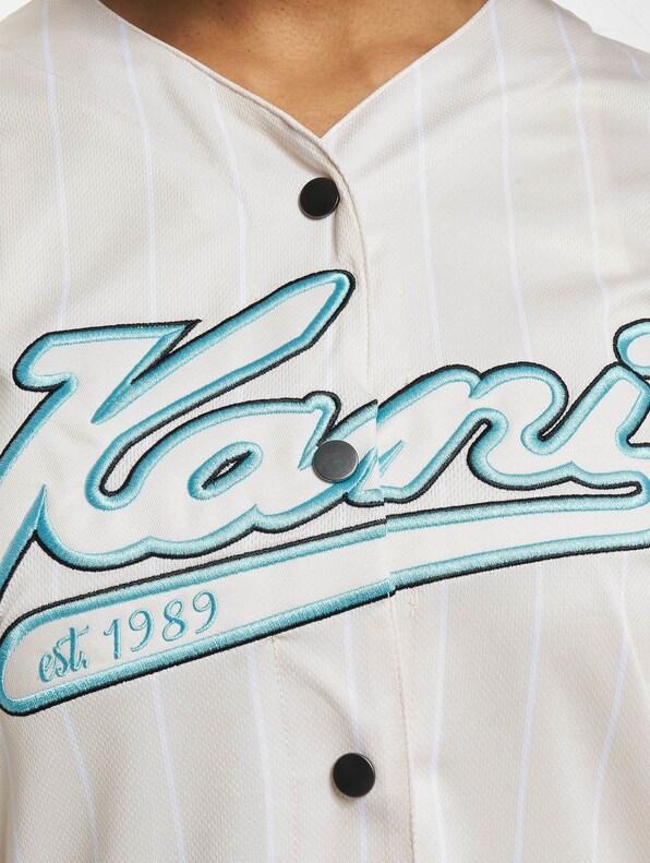 Varsity Pinstripe Baseball -3