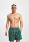 green_128047