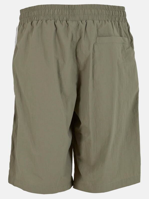 Board Shorts With Patched Stripe-4