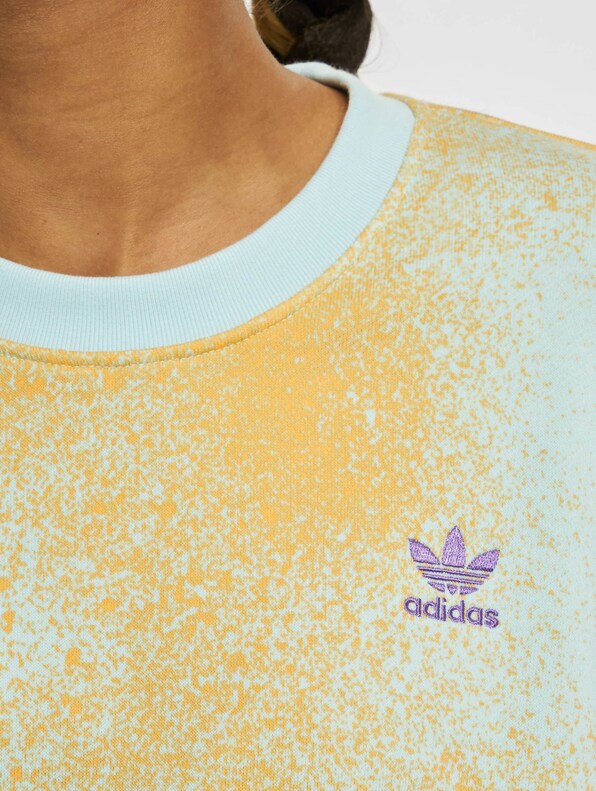 Adidas Originals Aop Sweatshirt-3