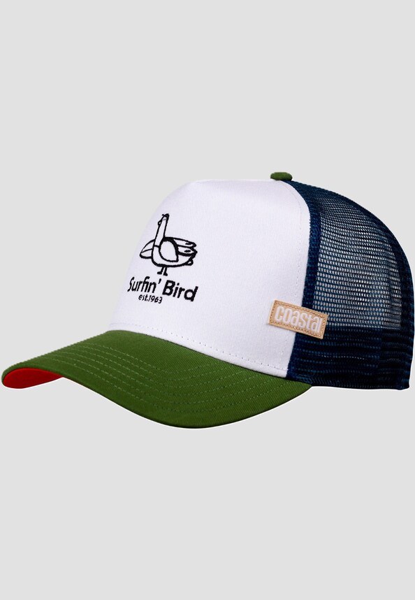 Surfin Bird-0