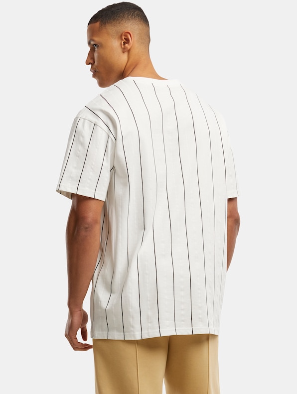 Printed Pinstripe-1