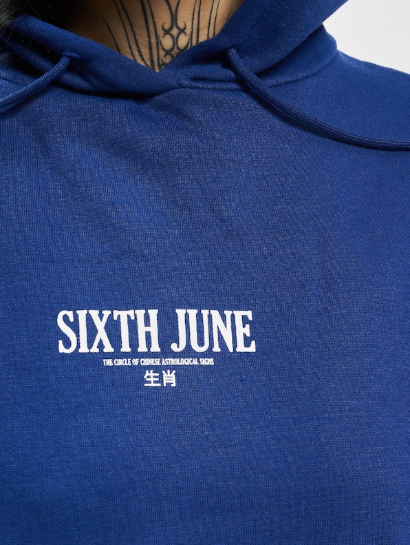 Chinese Zodiac Signs-4