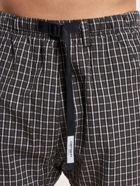 Carhartt WIP Dryden Shorts-4