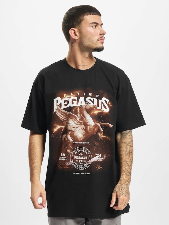 Pegasus Oversize-2