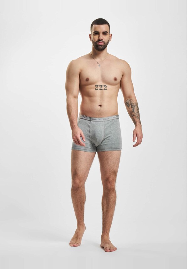 Trunk Boxer-1