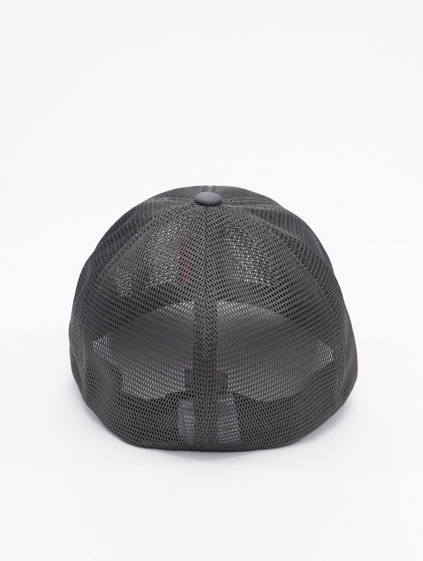360 Omnimesh-1