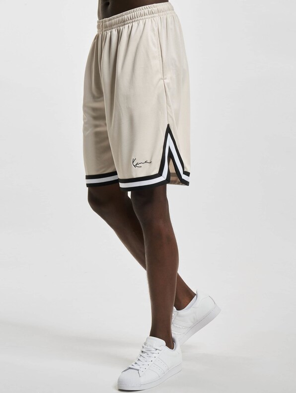 Small Signature Essential Mesh -2