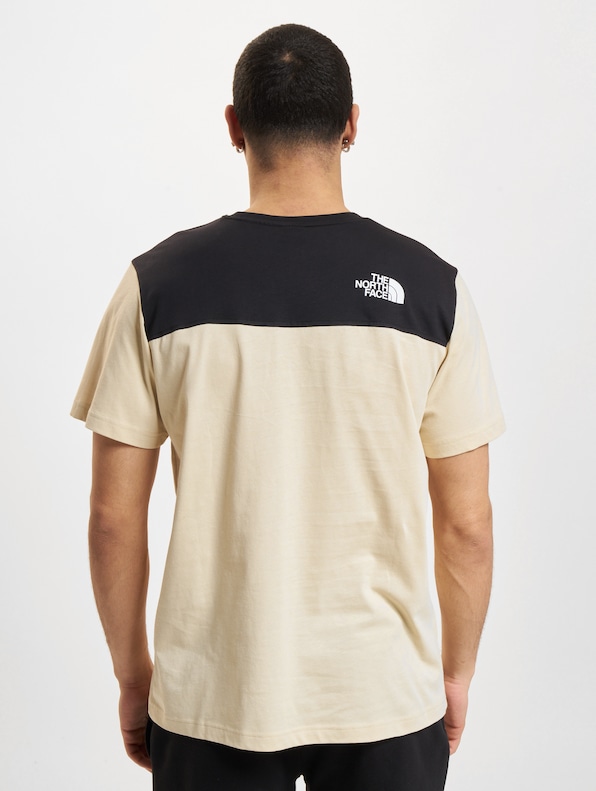 The North Face Icons T-Shirts-1