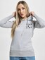 grey_17305