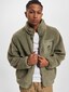 olive_100989