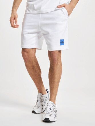 The North Face Coordinates Shorts