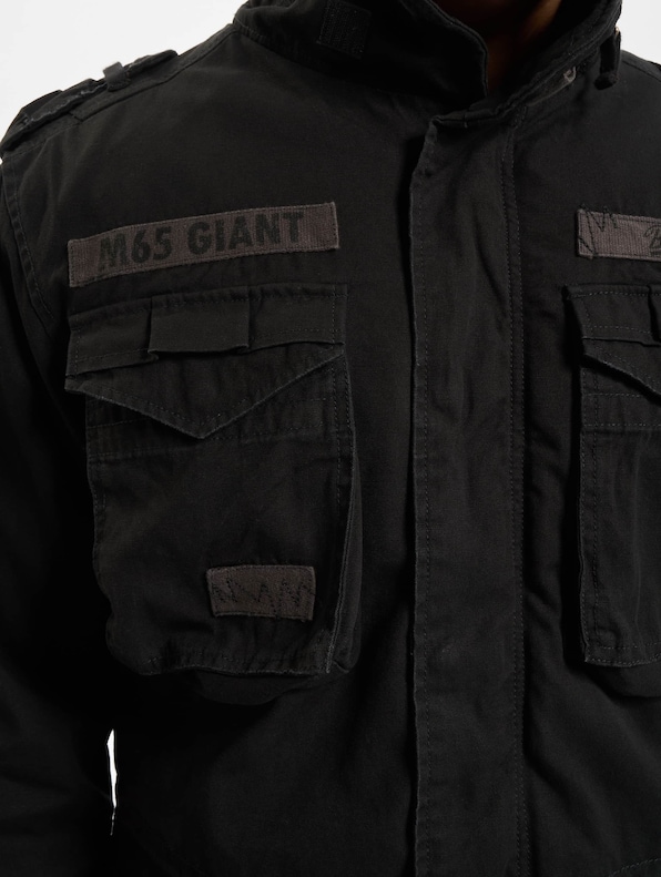 M65 Giant-3