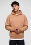 brown_203539